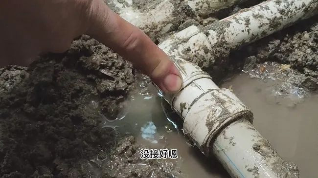 ຮູບພາບ -12 ຮູບພາບ -12